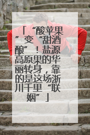 “酸苹果”变“甜酒酿”！盐源高原果的华丽转身，靠的是这场浙川千里“联姻”