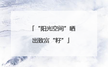 “阳光空间”晒出致富“籽”