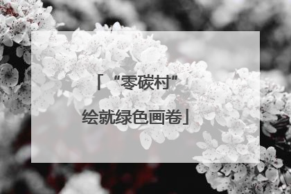 “零碳村” 绘就绿色画卷