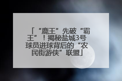 “鹿王”先破“霸王”！揭秘盐城3号球员进球背后的“农民街游侠”联盟