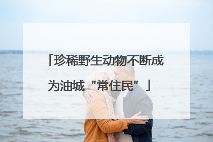 珍稀野生动物不断成为油城“常住民”