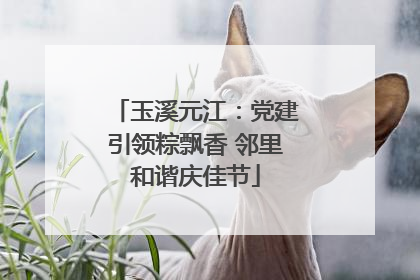 玉溪元江：党建引领粽飘香 邻里和谐庆佳节