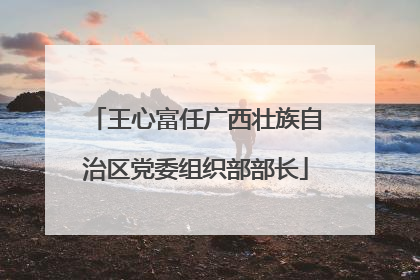 王心富任广西壮族自治区党委组织部部长