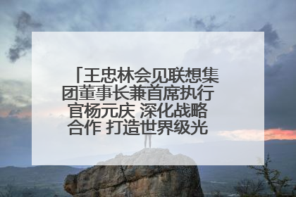 王忠林会见联想集团董事长兼首席执行官杨元庆 深化战略合作 打造世界级光电子信息产业集群