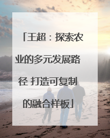 王超：探索农业的多元发展路径 打造可复制的融合样板