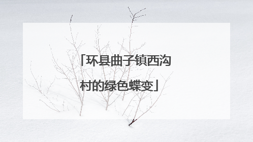 环县曲子镇西沟村的绿色蝶变