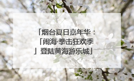 烟台夏日嘉年华：「闹海·拳击狂欢季」登陆黄海游乐城