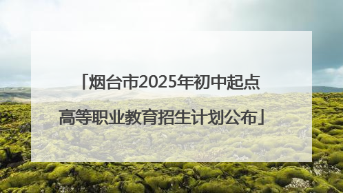 烟台市2025年初中起点高等职业教育招生计划公布