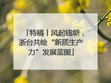 特稿丨风起钱塘，浙台共绘“新质生产力”发展蓝图