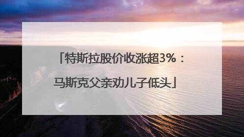 特斯拉股价收涨超3%：马斯克父亲劝儿子低头