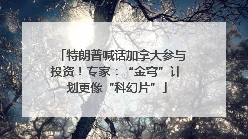 特朗普喊话加拿大参与投资！专家：“金穹”计划更像“科幻片”