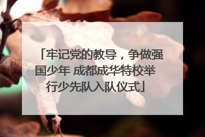 牢记党的教导，争做强国少年 成都成华特校举行少先队入队仪式