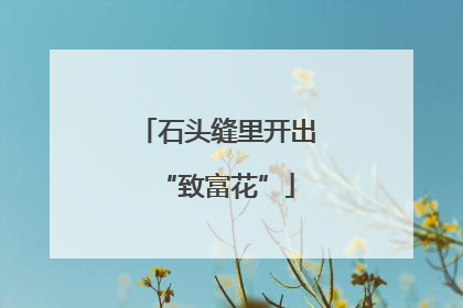 石头缝里开出“致富花”