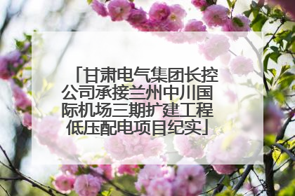 甘肃电气集团长控公司承接兰州中川国际机场三期扩建工程低压配电项目纪实