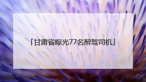 甘肃省曝光77名醉驾司机
