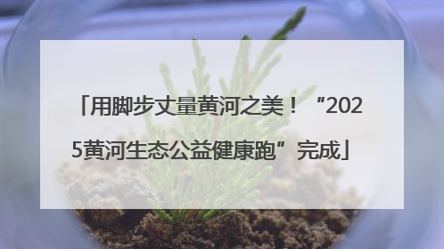 用脚步丈量黄河之美！“2025黄河生态公益健康跑”完成