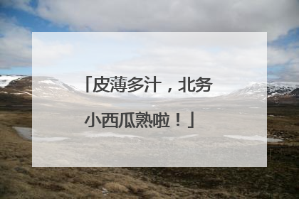 皮薄多汁，北务小西瓜熟啦！