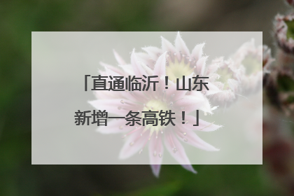 直通临沂！山东新增一条高铁！