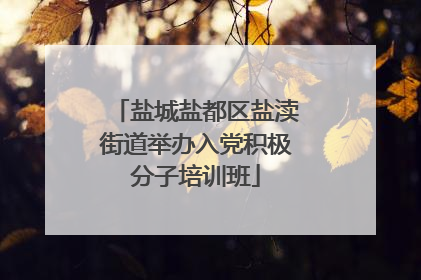 盐城盐都区盐渎街道举办入党积极分子培训班