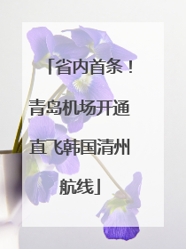 省内首条！青岛机场开通直飞韩国清州航线