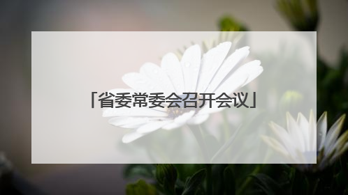 省委常委会召开会议