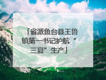省派鱼台县王鲁镇第一书记护航“三夏”生产