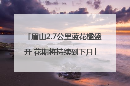 眉山2.7公里蓝花楹盛开 花期将持续到下月