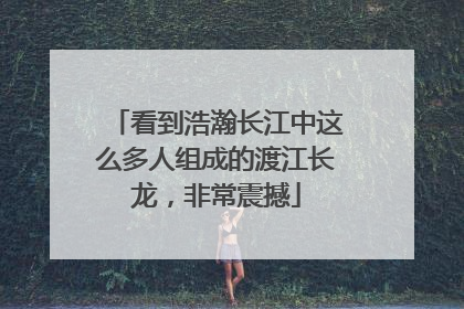 看到浩瀚长江中这么多人组成的渡江长龙，非常震撼