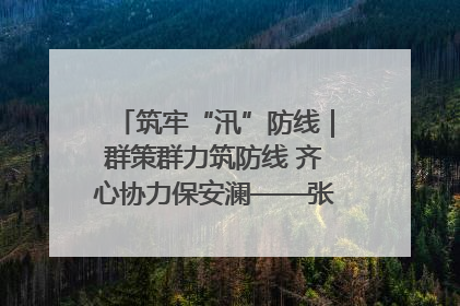 筑牢“汛”防线｜群策群力筑防线 齐心协力保安澜——张家界高新区上下众志成城迎战汛情