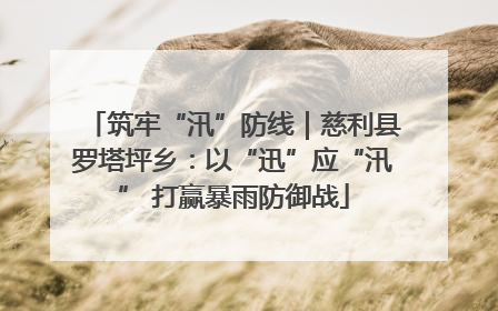 筑牢“汛”防线｜慈利县罗塔坪乡：以“迅”应“汛” 打赢暴雨防御战