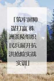 筑牢屏障谋打赢 株洲茶陵组织民兵展开抗洪抢险实战实训