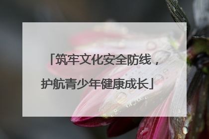 筑牢文化安全防线，护航青少年健康成长