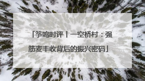 筝鸣时评丨一空桥村：强筋麦丰收背后的振兴密码