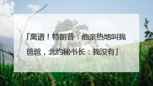 离谱！特朗普：他亲热地叫我爸爸，北约秘书长：我没有