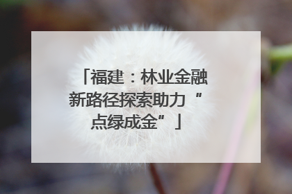 福建：林业金融新路径探索助力“点绿成金”