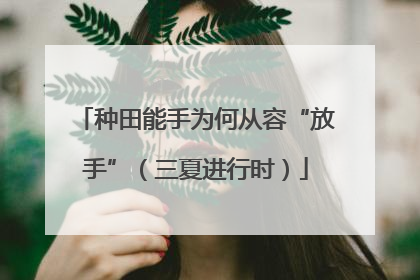 种田能手为何从容“放手”（三夏进行时）