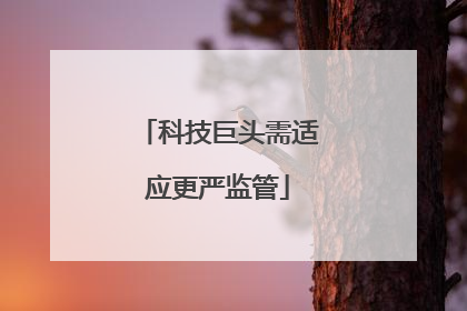 科技巨头需适应更严监管
