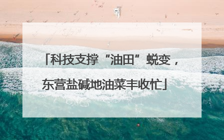 科技支撑“油田”蜕变，东营盐碱地油菜丰收忙