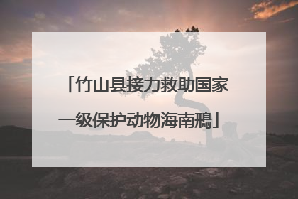 竹山县接力救助国家一级保护动物海南鳽