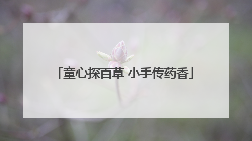 童心探百草 小手传药香