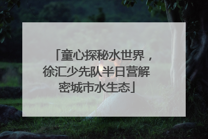 童心探秘水世界，徐汇少先队半日营解密城市水生态