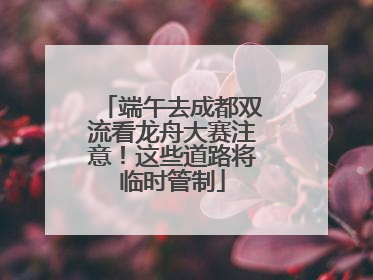 端午去成都双流看龙舟大赛注意！这些道路将临时管制