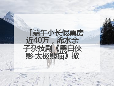 端午小长假票房近40万，浠水亲子杂技剧《黑白侠影·太极熊猫》掀起观演热潮