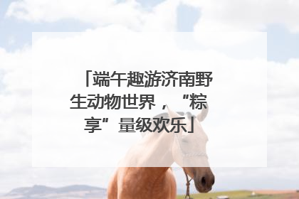 端午趣游济南野生动物世界，“粽享”量级欢乐