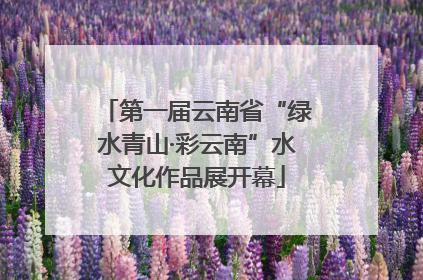 第一届云南省“绿水青山·彩云南”水文化作品展开幕