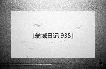 翁城日记 935