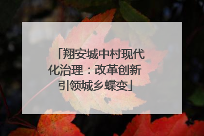 翔安城中村现代化治理：改革创新引领城乡蝶变