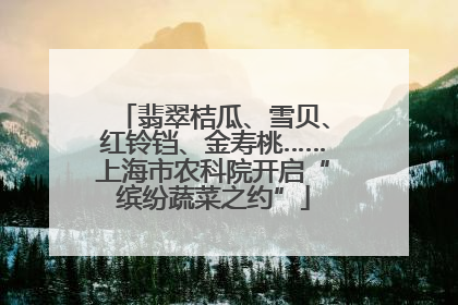 翡翠桔瓜、雪贝、红铃铛、金寿桃……上海市农科院开启“缤纷蔬菜之约”