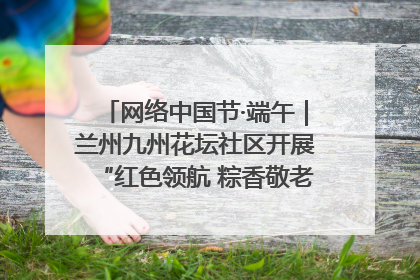 网络中国节·端午｜兰州九州花坛社区开展“红色领航 粽香敬老”端午主题活动