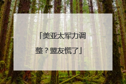 美亚太军力调整？盟友慌了